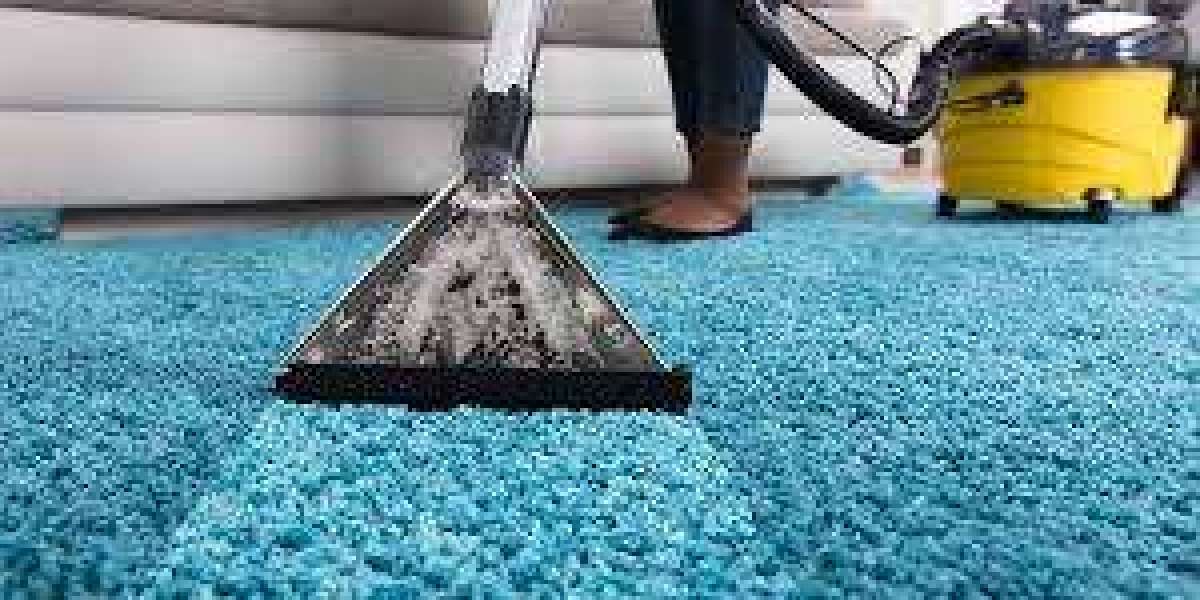 Why Professional Carpet Cleaning Services Are Critical for Home Maintenance